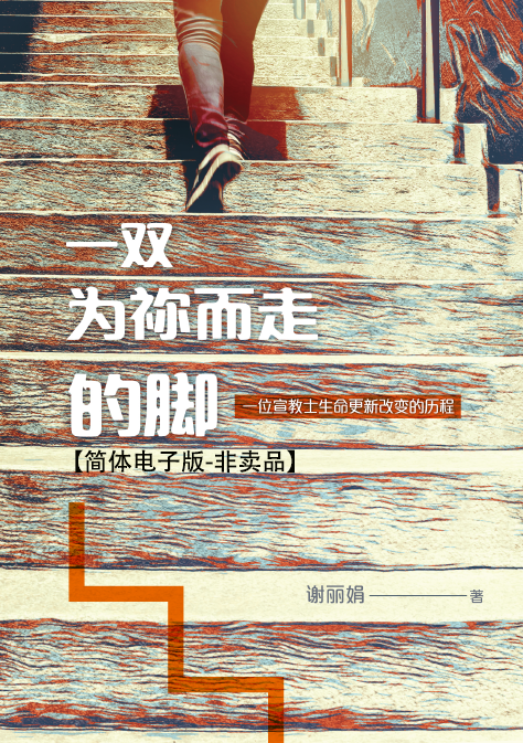 E-book cover — Simplified Chinese edition